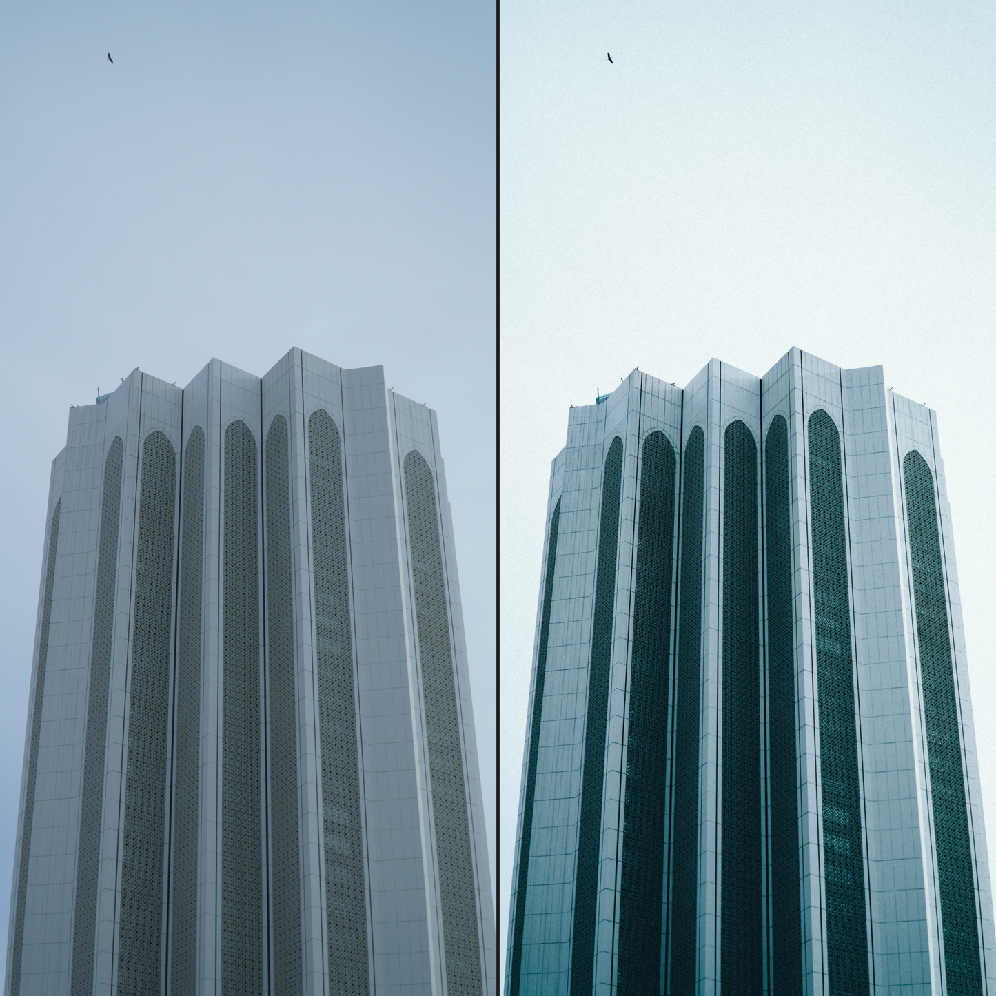 THE ADVENTURE LIGHTROOM BUNDLE (πππ!)